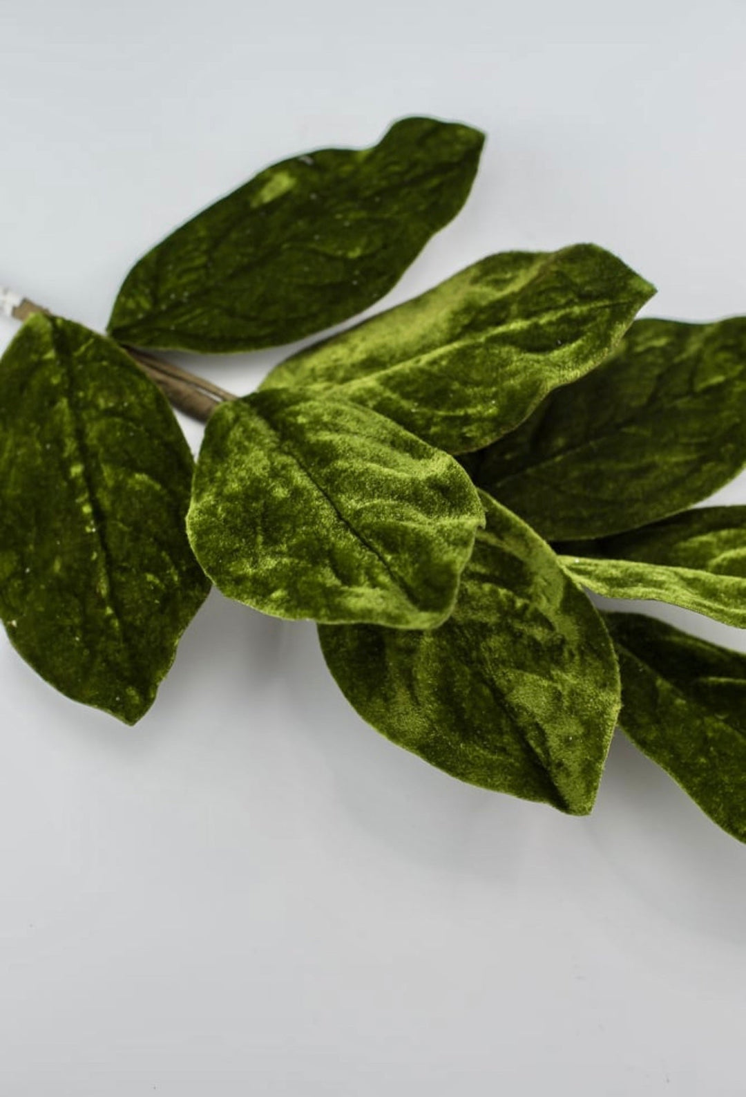 Green velvet magnolia leaf spray - Greenery MarketgreeneryXh536 - g