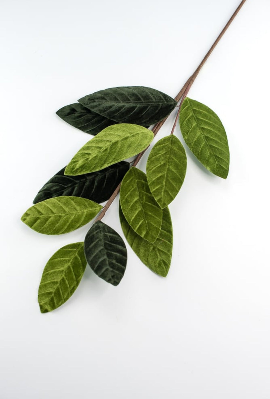 Green velvet magnolia leaves - Greenery Market84602sp25