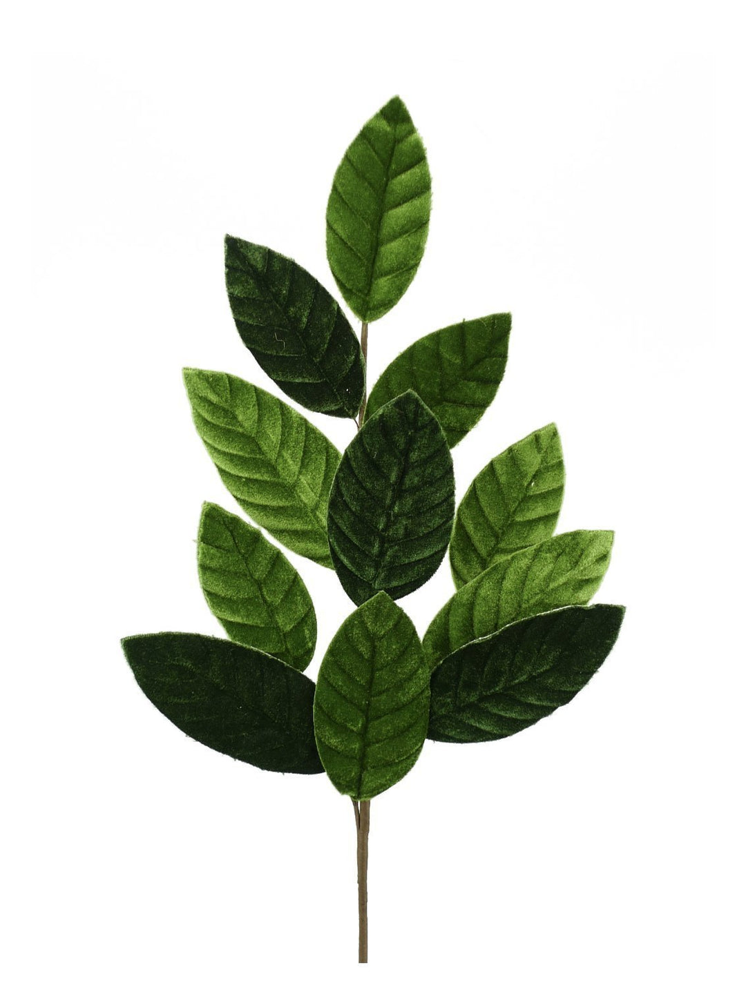 Green velvet magnolia leaves - Greenery Market84602sp25