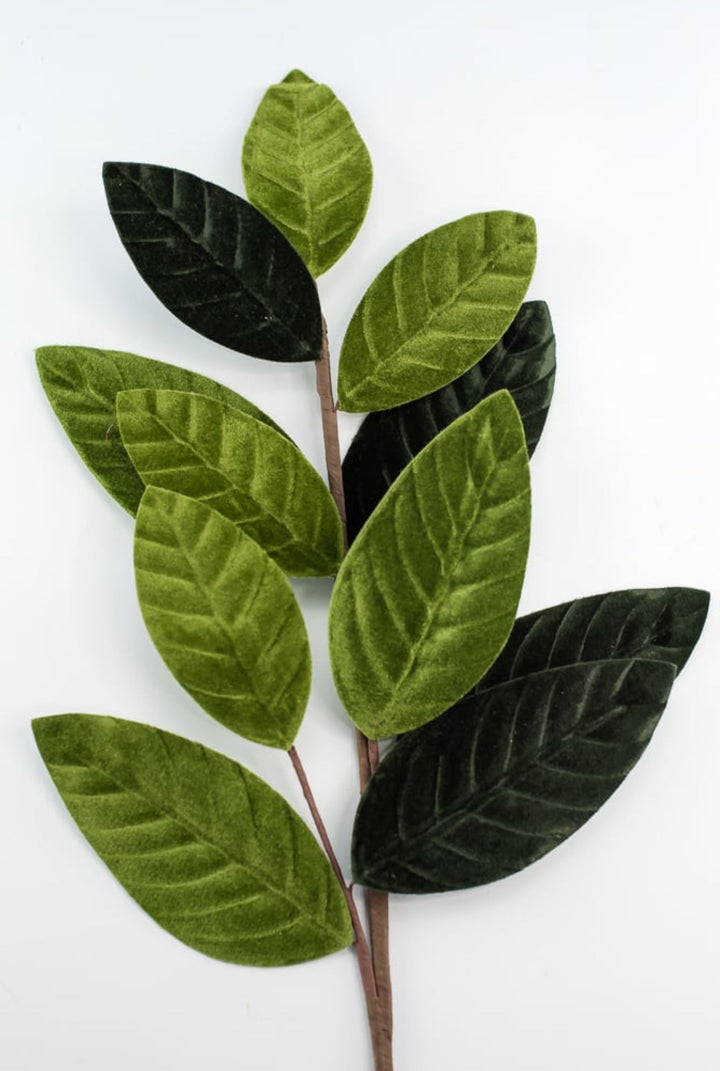 Green velvet magnolia leaves - Greenery Market84602sp25