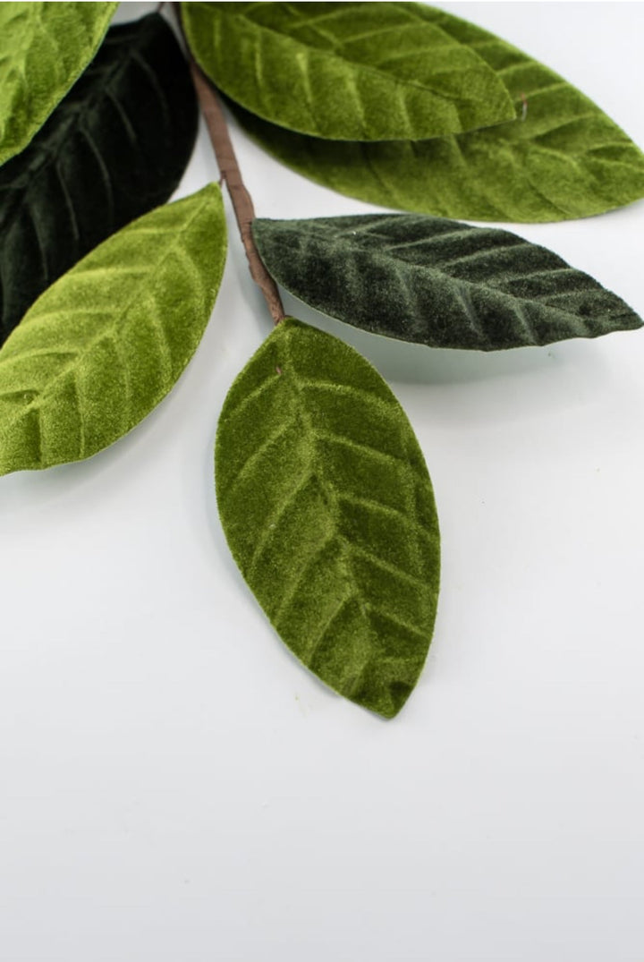 Green velvet magnolia leaves - Greenery Market84602sp25