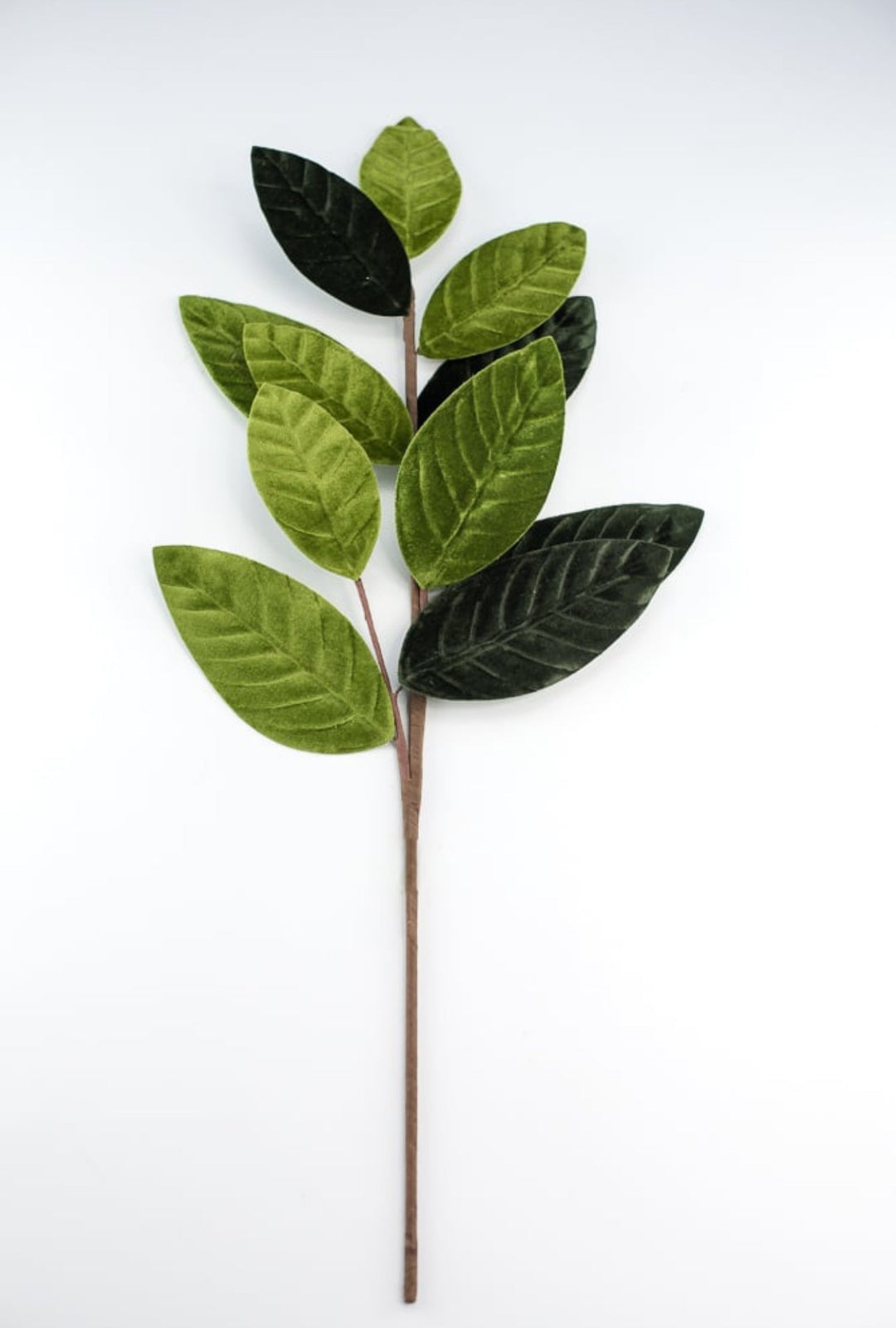 Green velvet magnolia leaves - Greenery Market84602sp25