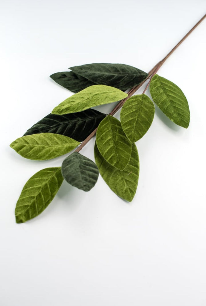 Green velvet magnolia leaves - Greenery Market84602sp25