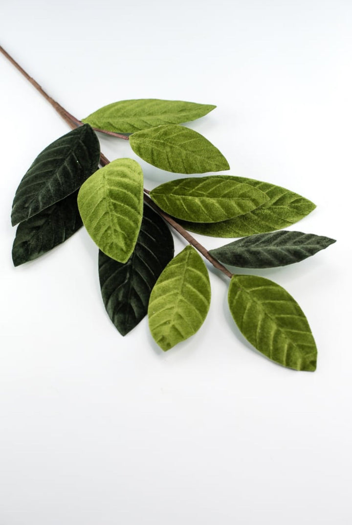 Green velvet magnolia leaves - Greenery Market84602sp25