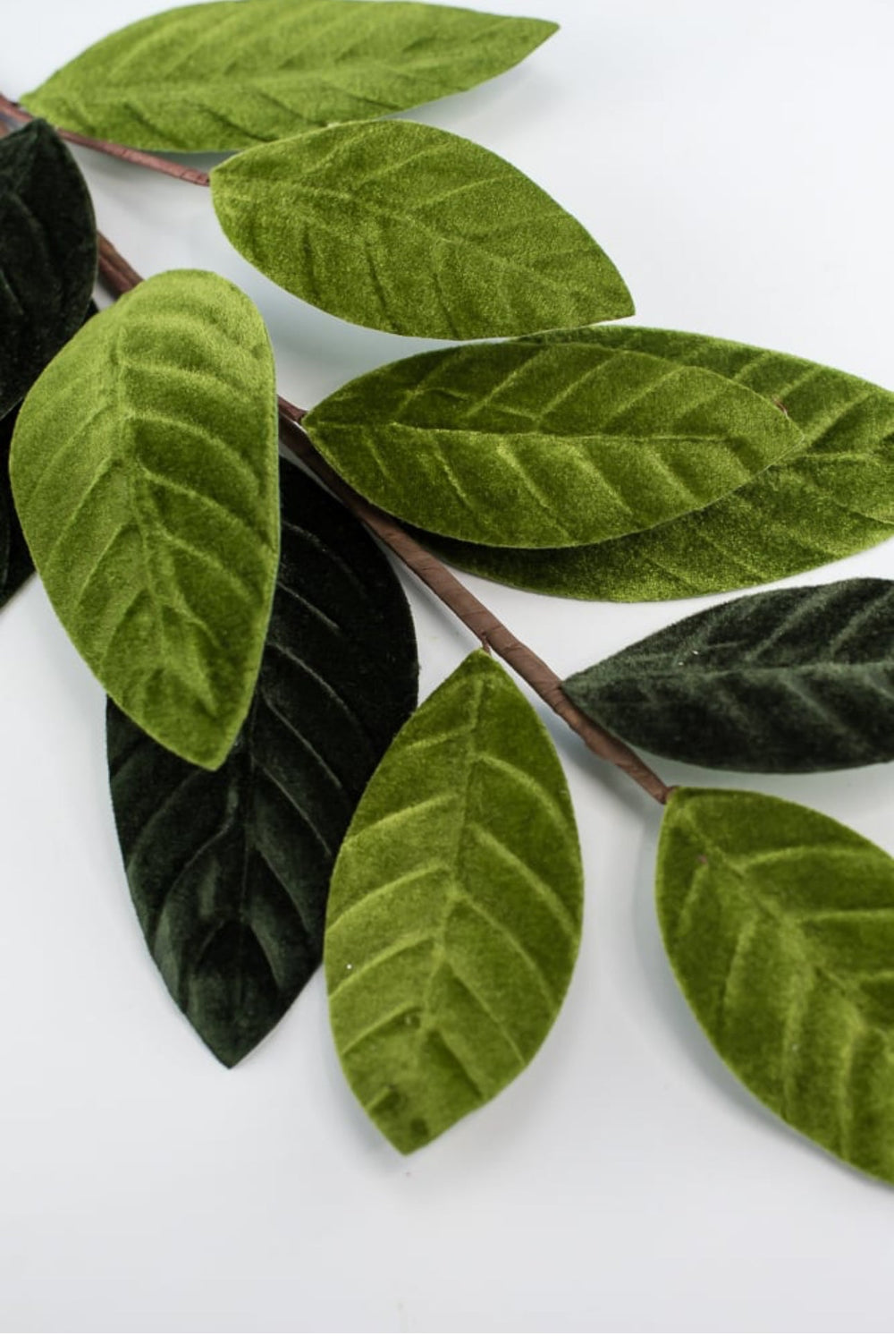 Green velvet magnolia leaves - Greenery Market84602sp25