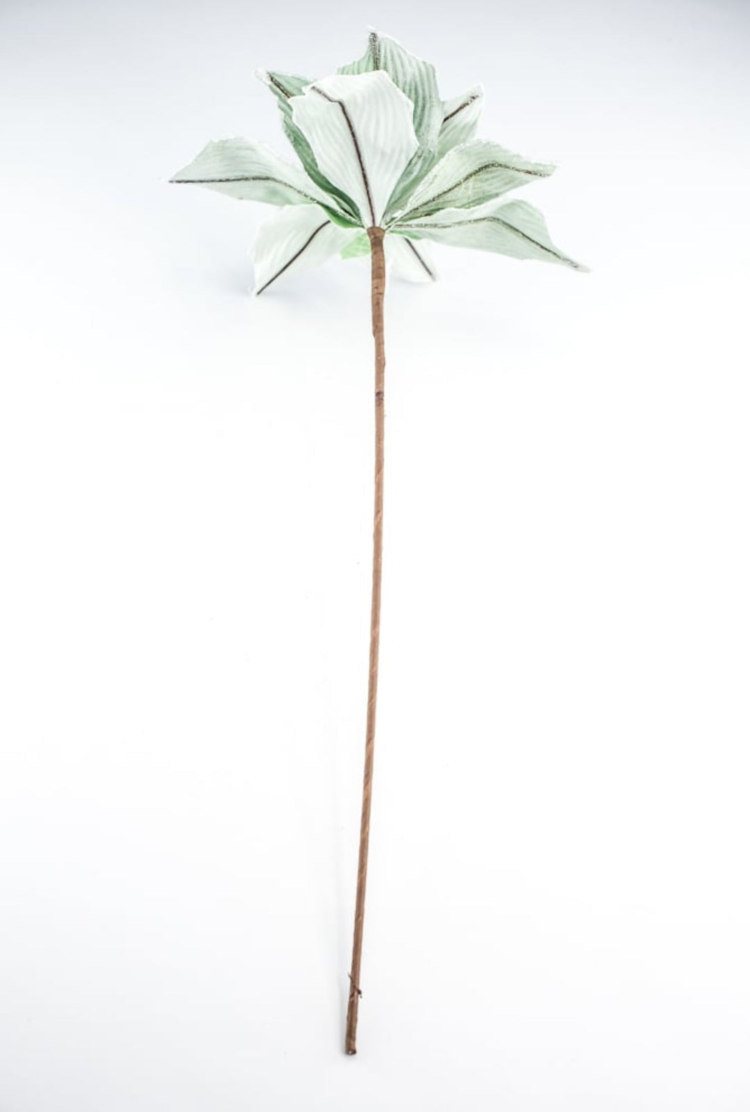 Green velvet poinsettia stem - Greenery MarketXS398309