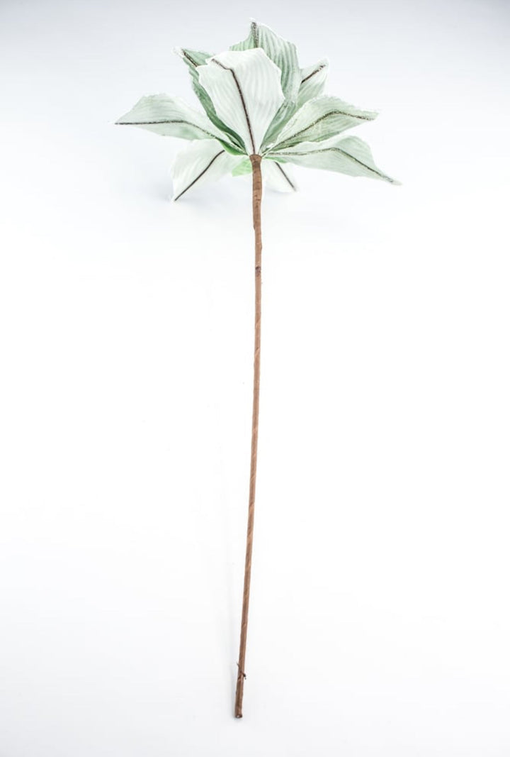 Green velvet poinsettia stem - Greenery MarketXS398309