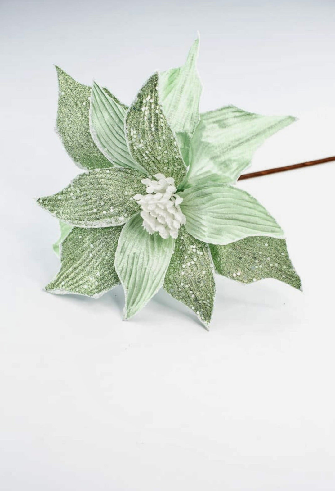 Green velvet poinsettia stem - Greenery MarketXS398309