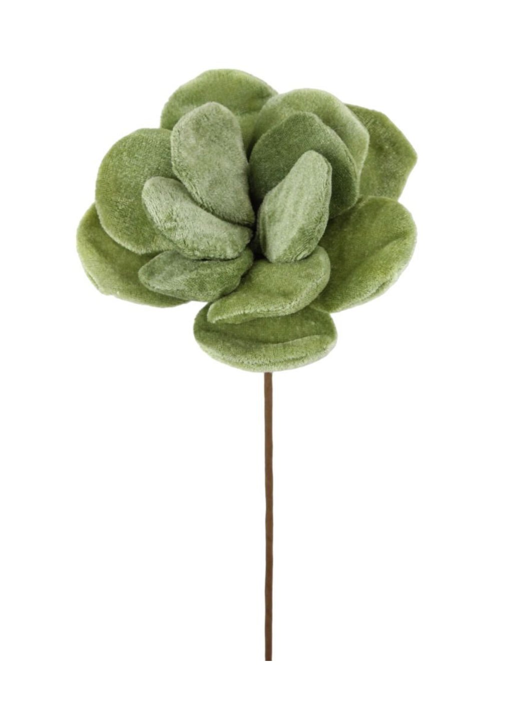 Green velvet succulent stem - Greenery Market235631