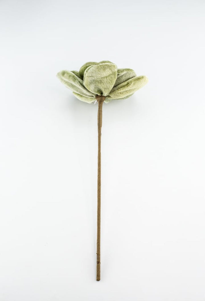 Green velvet succulent stem - Greenery Market235631