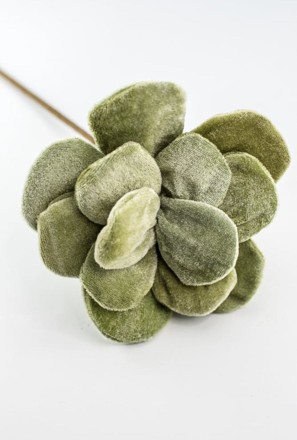 Green velvet succulent stem - Greenery Market235631