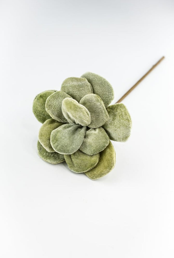 Green velvet succulent stem - Greenery Market235631