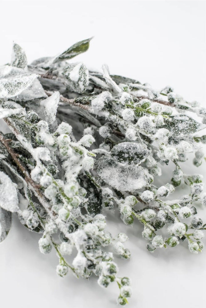 Green & White Snowed Leaves & Berry Bush - 19" - Greenery MarketXBB336-GR/WH