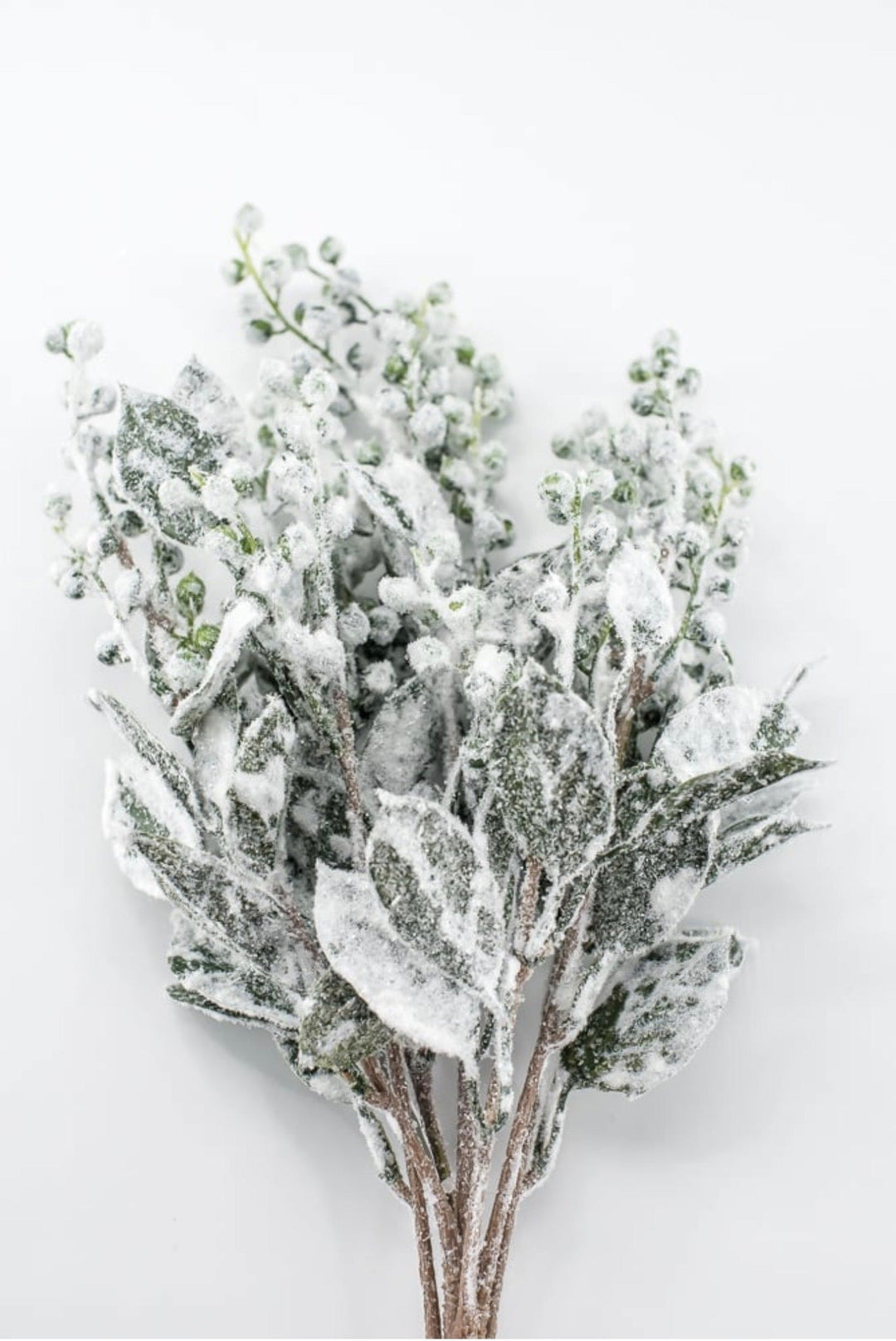 Green & White Snowed Leaves & Berry Bush - 19" - Greenery MarketXBB336-GR/WH