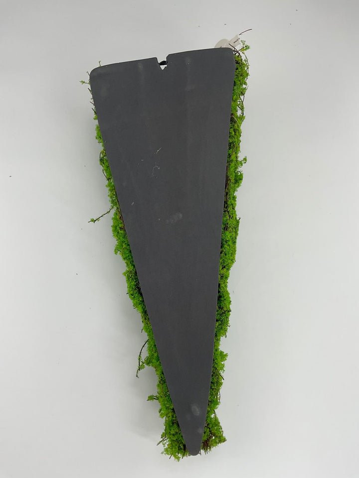 Greenery market half cone moss hanging, 18" green - Greenery Marketwreath base & containersMT26050