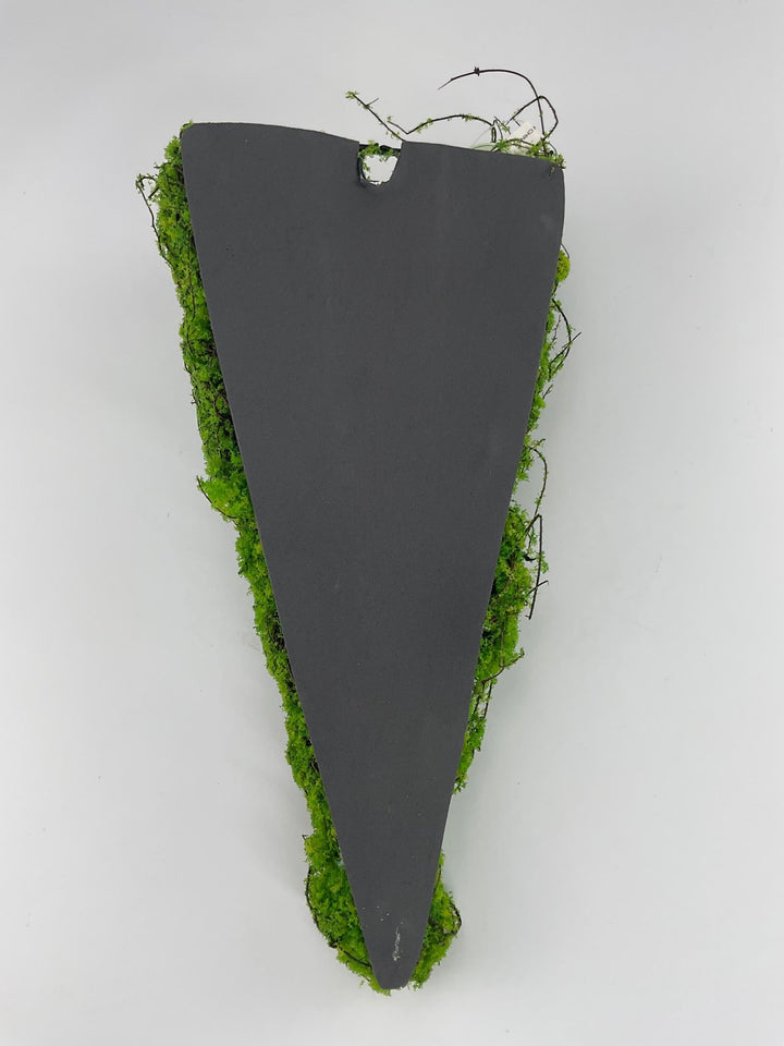 Greenery market half cone moss hanging planter, 12" green - Greenery Marketwreath base & containersMT26049