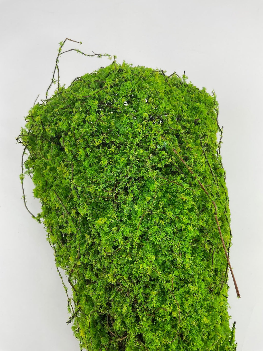 Greenery market half cone moss hanging planter, 12" green - Greenery Marketwreath base & containersMT26049