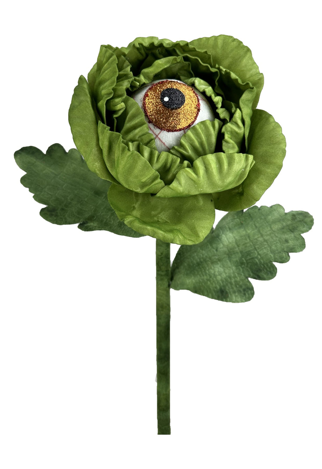 eyeball succulent Halloween eyeball plant stem