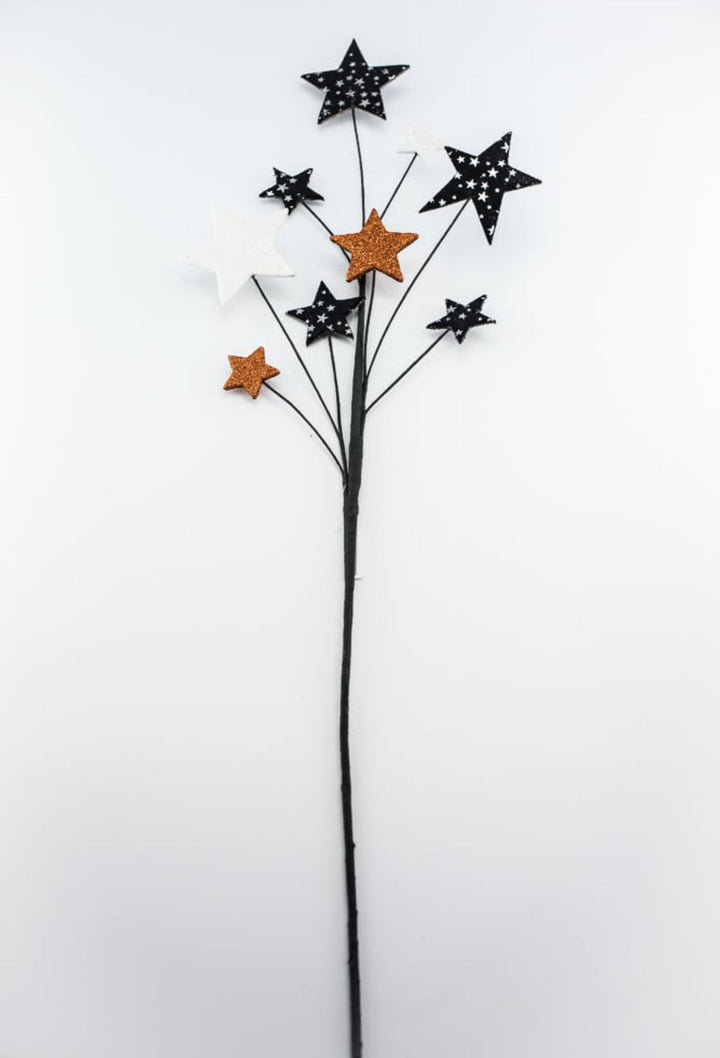 Halloween stars spray - Greenery MarketHH128820