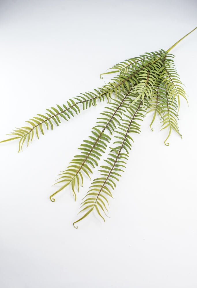 Hanging fern bush - Greenery Marketgreenery2310262GR