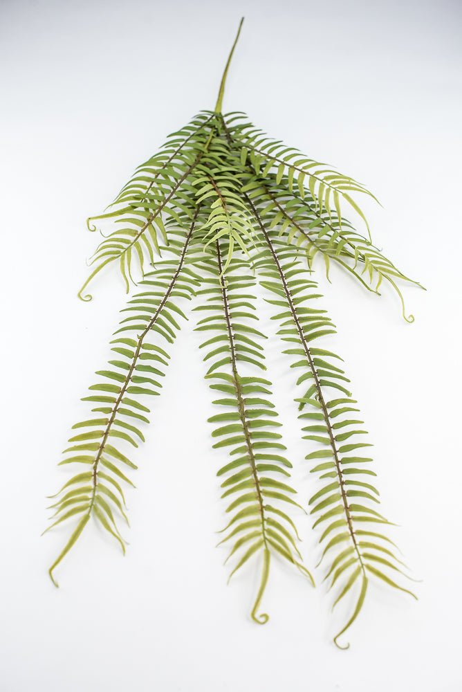 Hanging fern bush - Greenery Marketgreenery2310262GR