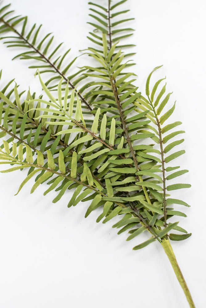Hanging fern bush - Greenery Marketgreenery2310262GR