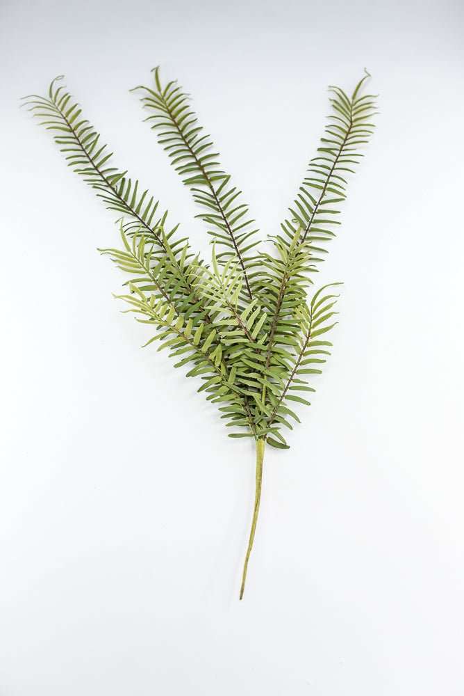 Hanging fern bush - Greenery Marketgreenery2310262GR