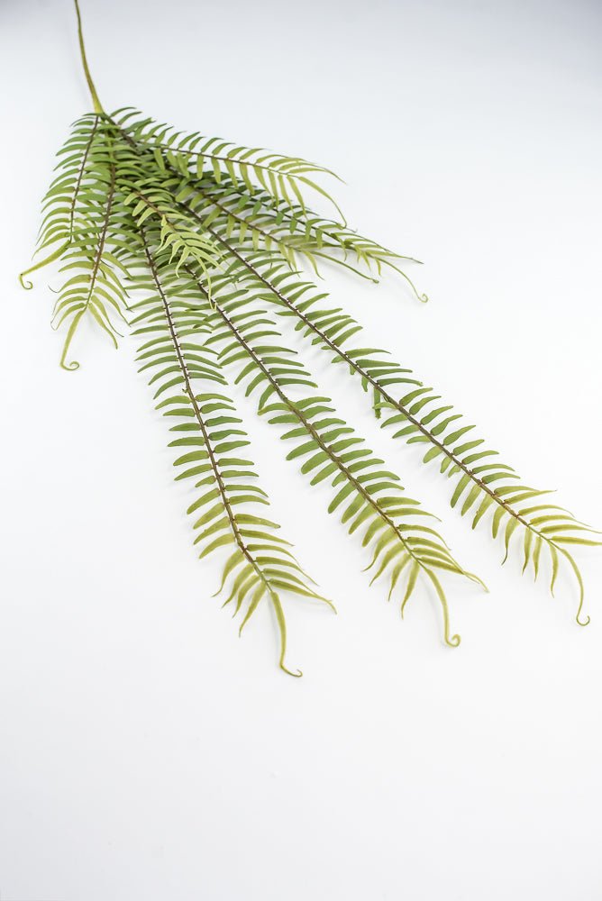 Hanging fern bush - Greenery Marketgreenery2310262GR