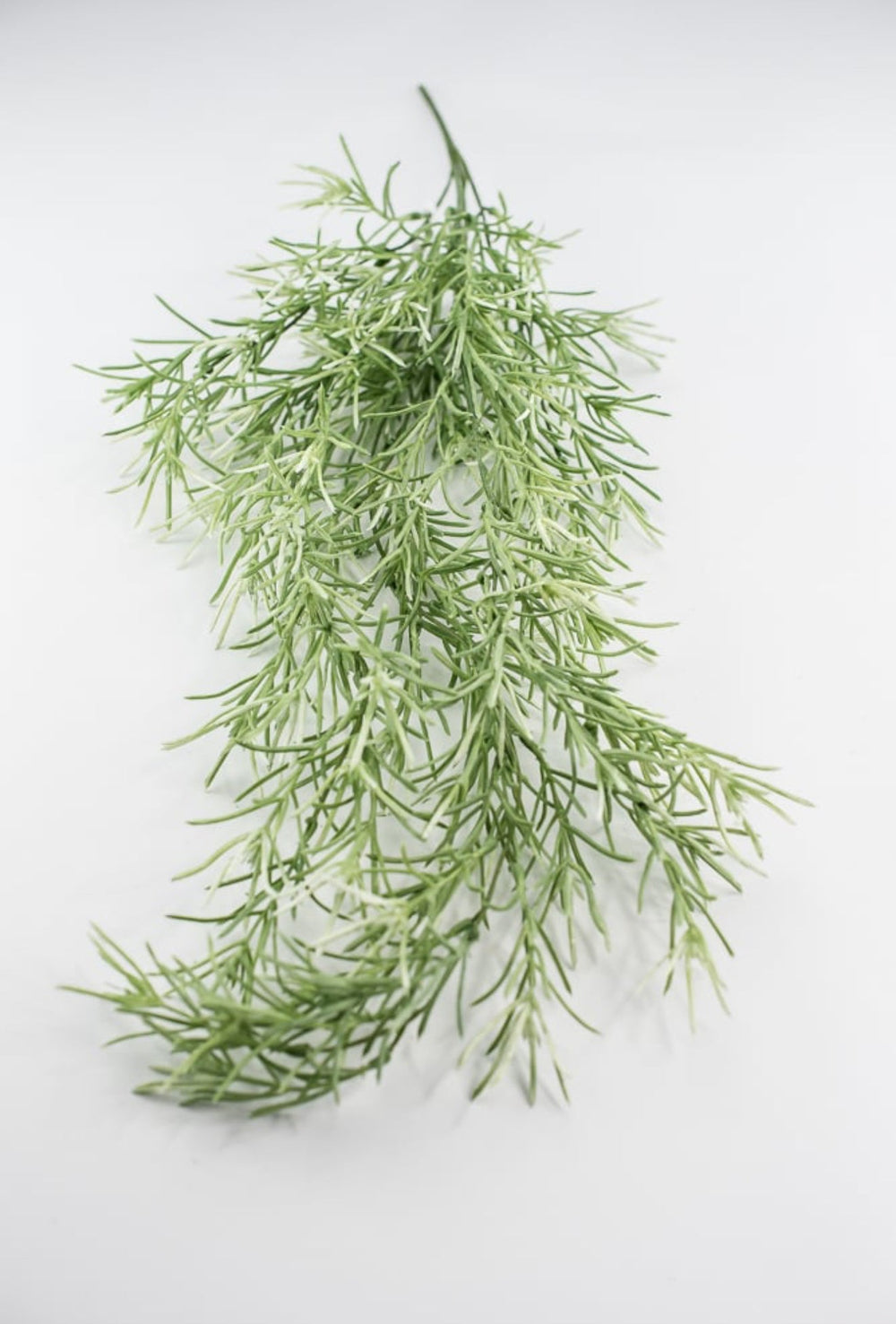 Hanging Sage green Rosemary Greenery bush - Greenery Marketgreeneryfl5036 - sg