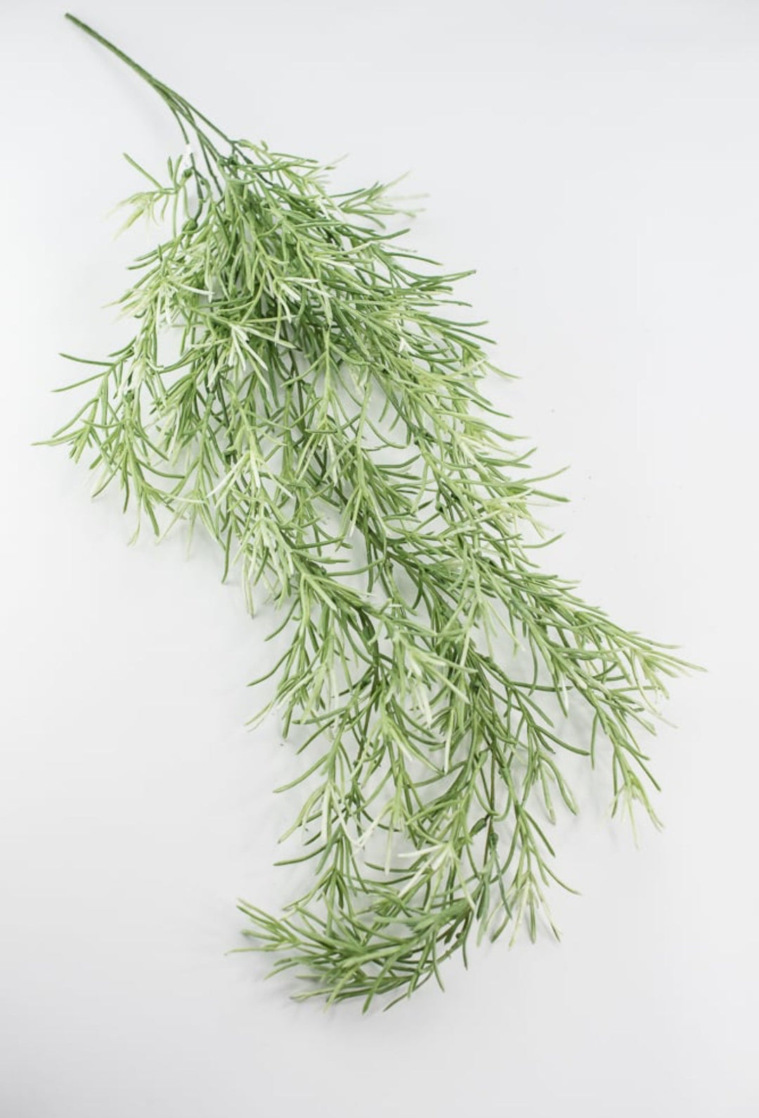 Hanging Sage green Rosemary Greenery bush - Greenery Marketgreeneryfl5036 - sg