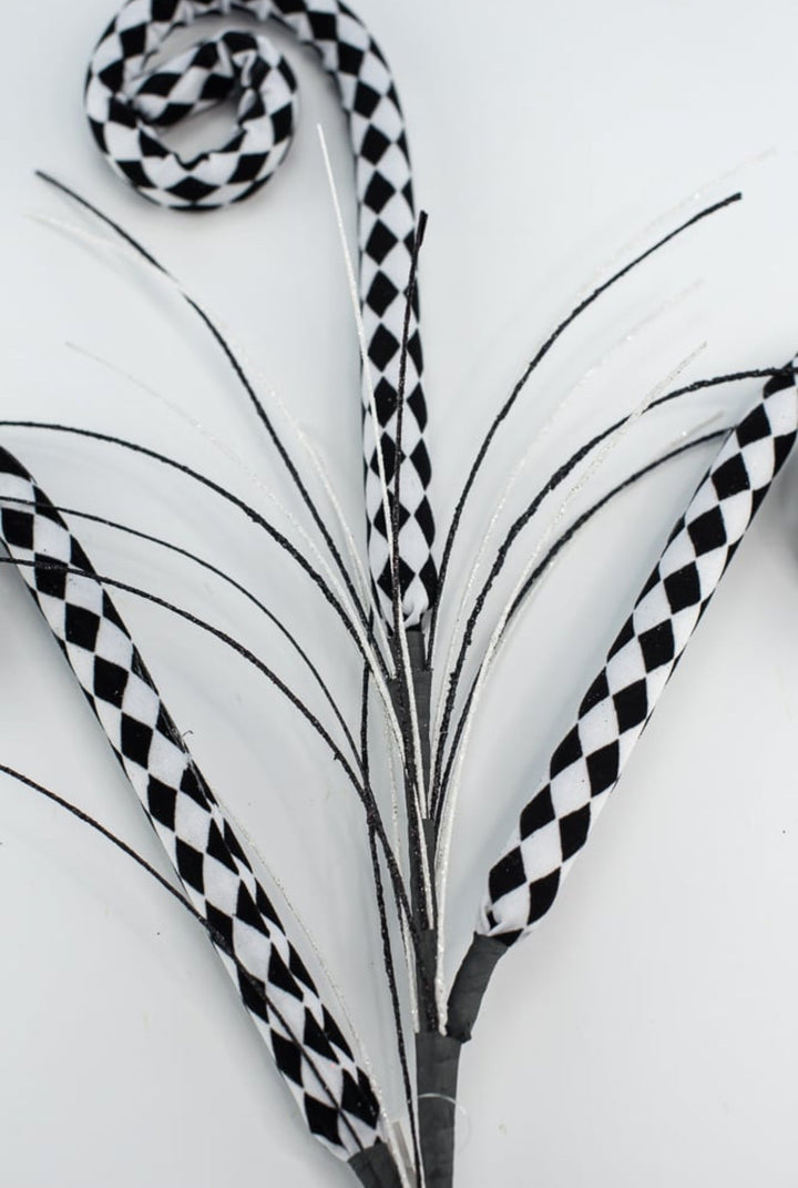 Harlequin curly sprays - black and white - Greenery MarketPicksMN018336