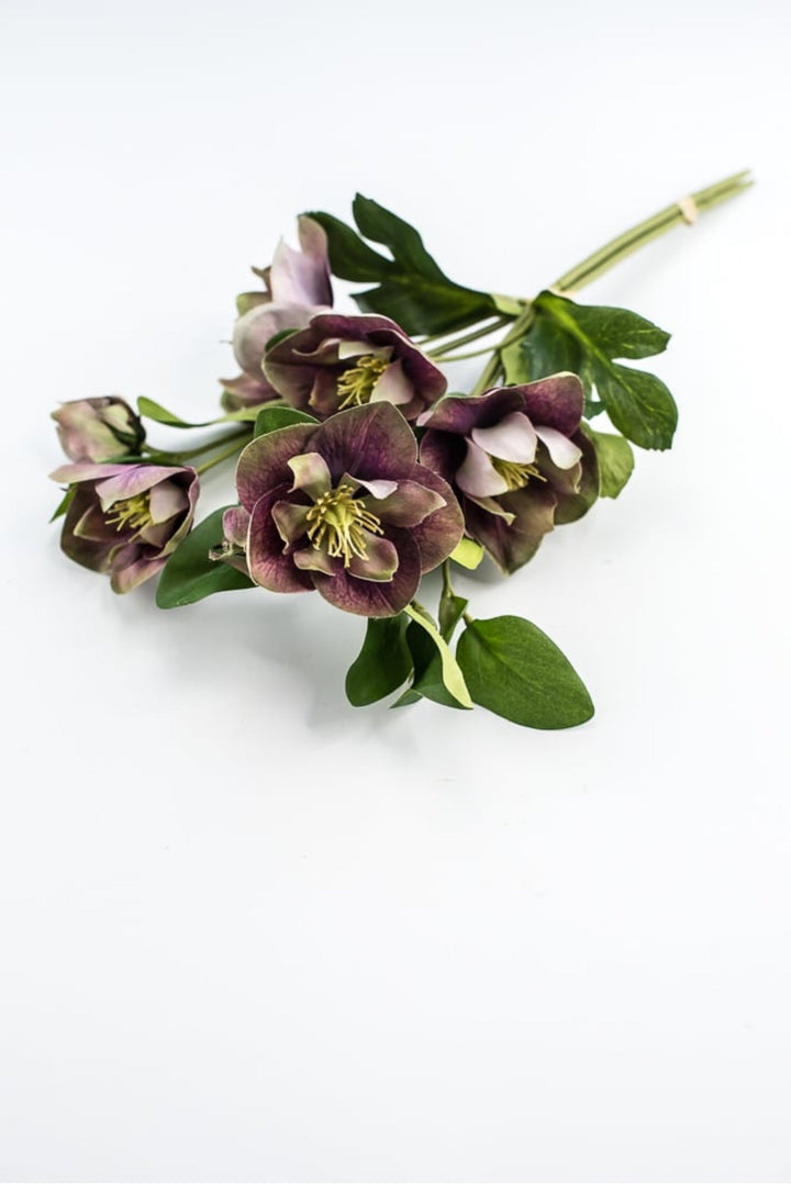 Hellebores stems bundle - Greenery Market6385 - PU