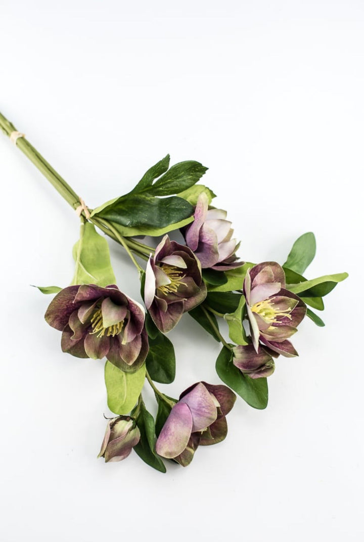 Hellebores stems bundle - Greenery Market6385 - PU