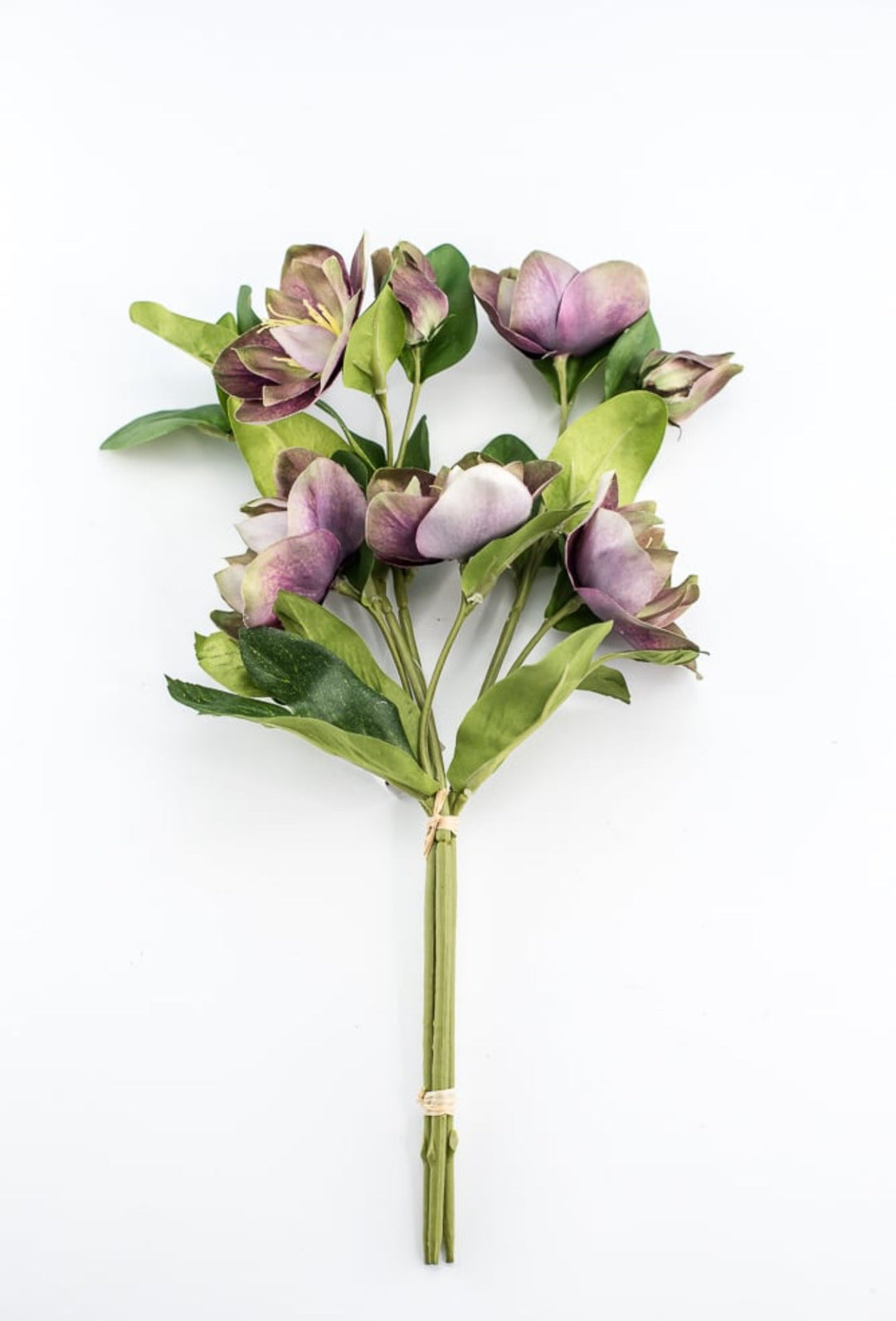 Hellebores stems bundle - Greenery Market6385 - PU