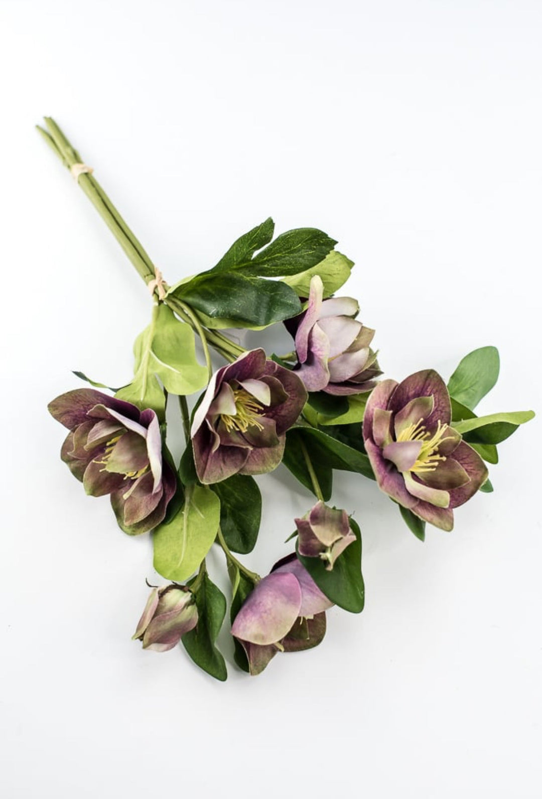 Hellebores stems bundle - Greenery Market6385 - PU