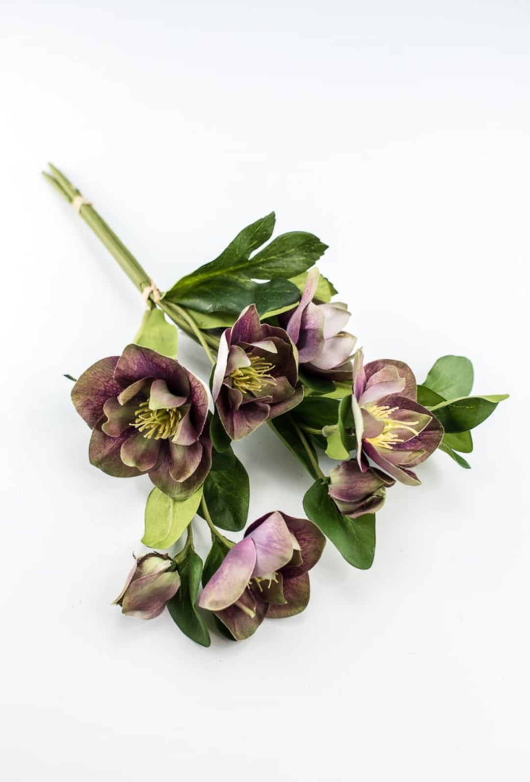 Hellebores stems bundle - Greenery Market6385 - PU