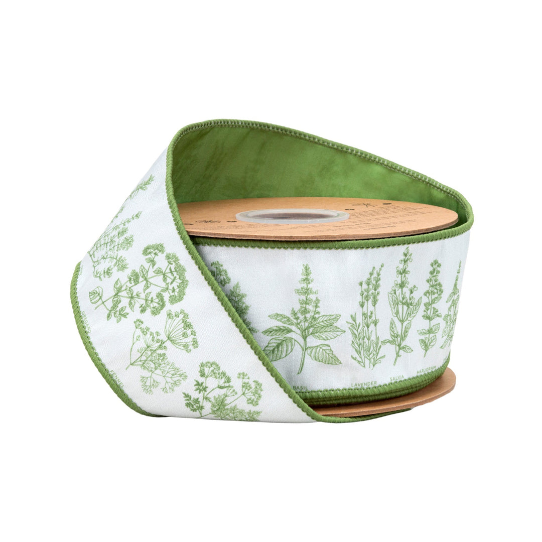 Herb Sprigs On White with Green Backing Wired Dupioni Ribbon - 2.5" - Greenery MarketWired Ribbon9360W-580-63E