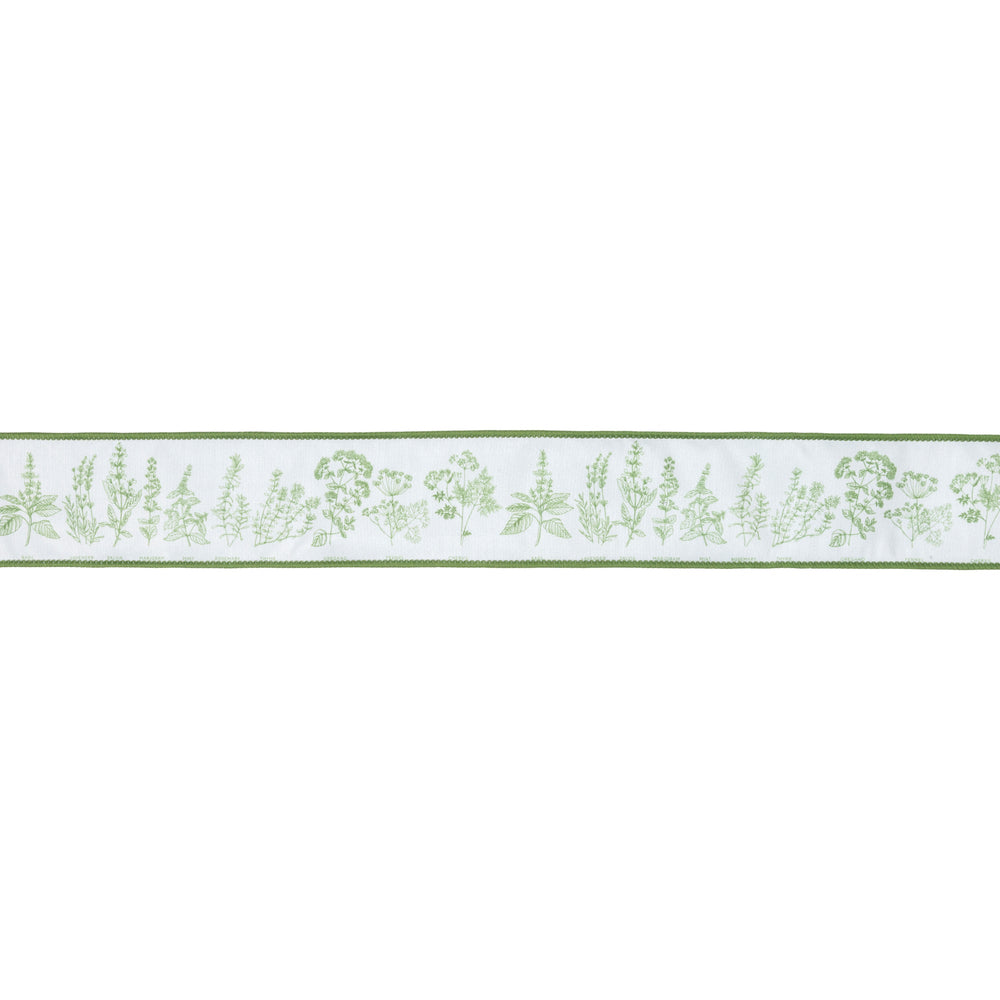 Herb Sprigs On White with Green Backing Wired Dupioni Ribbon - 2.5" - Greenery MarketWired Ribbon9360W-580-63E