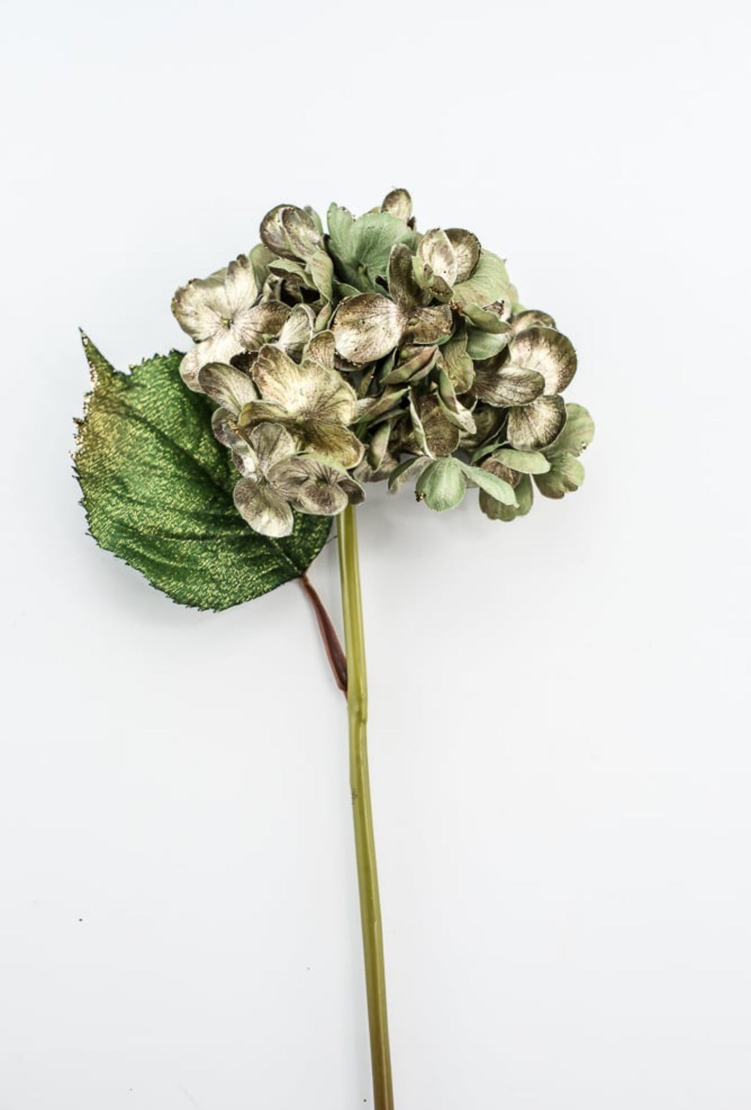 Holiday hydrangeas stem - green gold - Greenery MarketXF647 - GGO