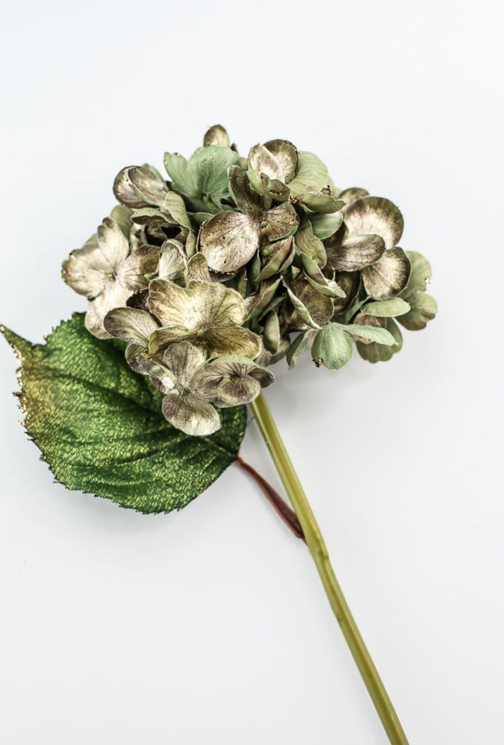 Holiday hydrangeas stem - green gold - Greenery MarketXF647 - GGO