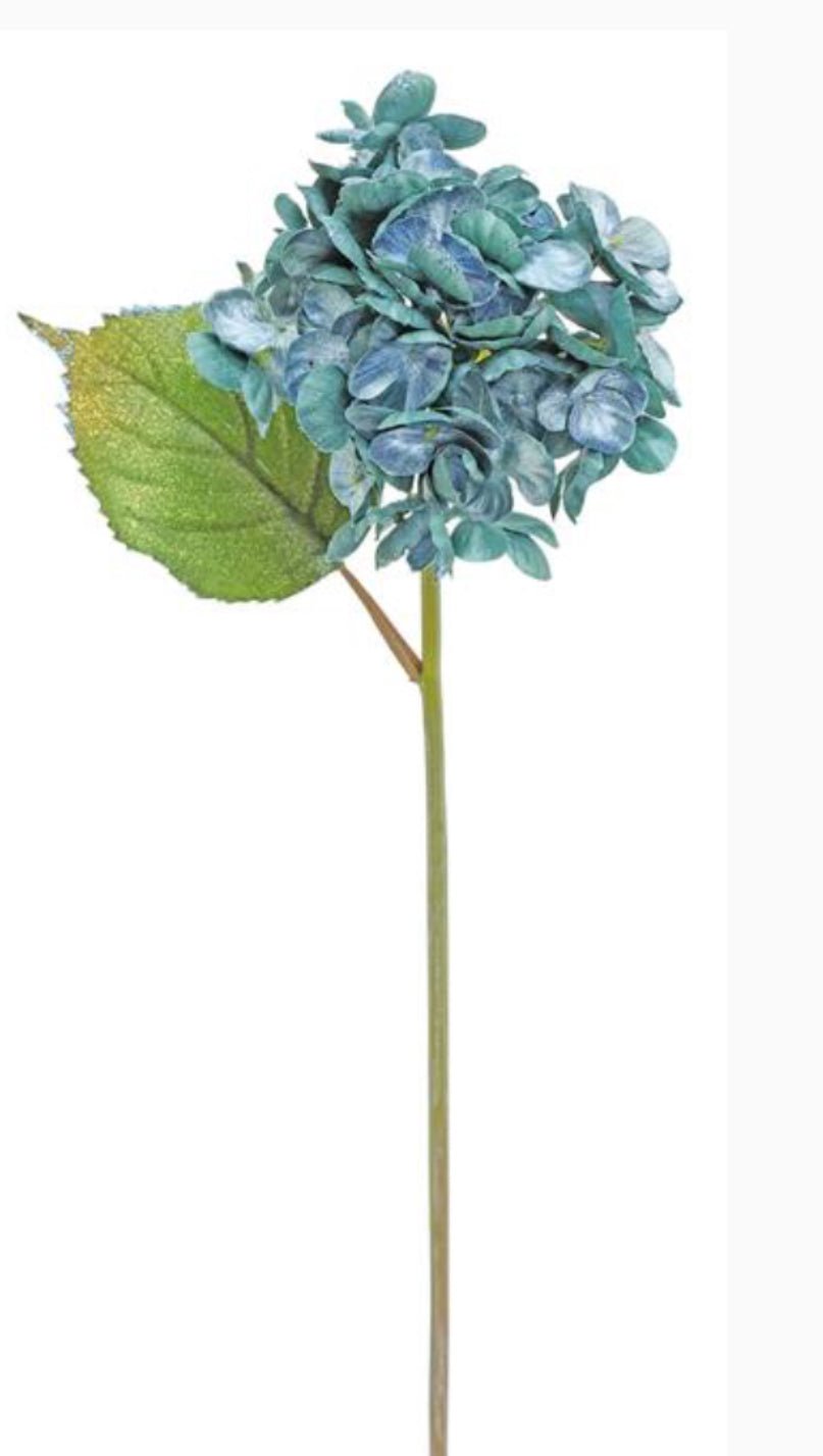 Holiday hydrangeas stem - teal - Greenery MarketXF647 - TL