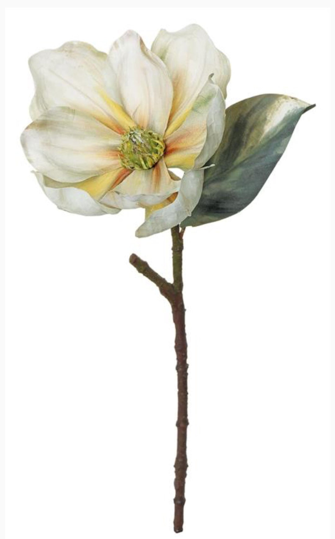 Holiday Ivory magnolia stem - Greenery Market6360 - IV