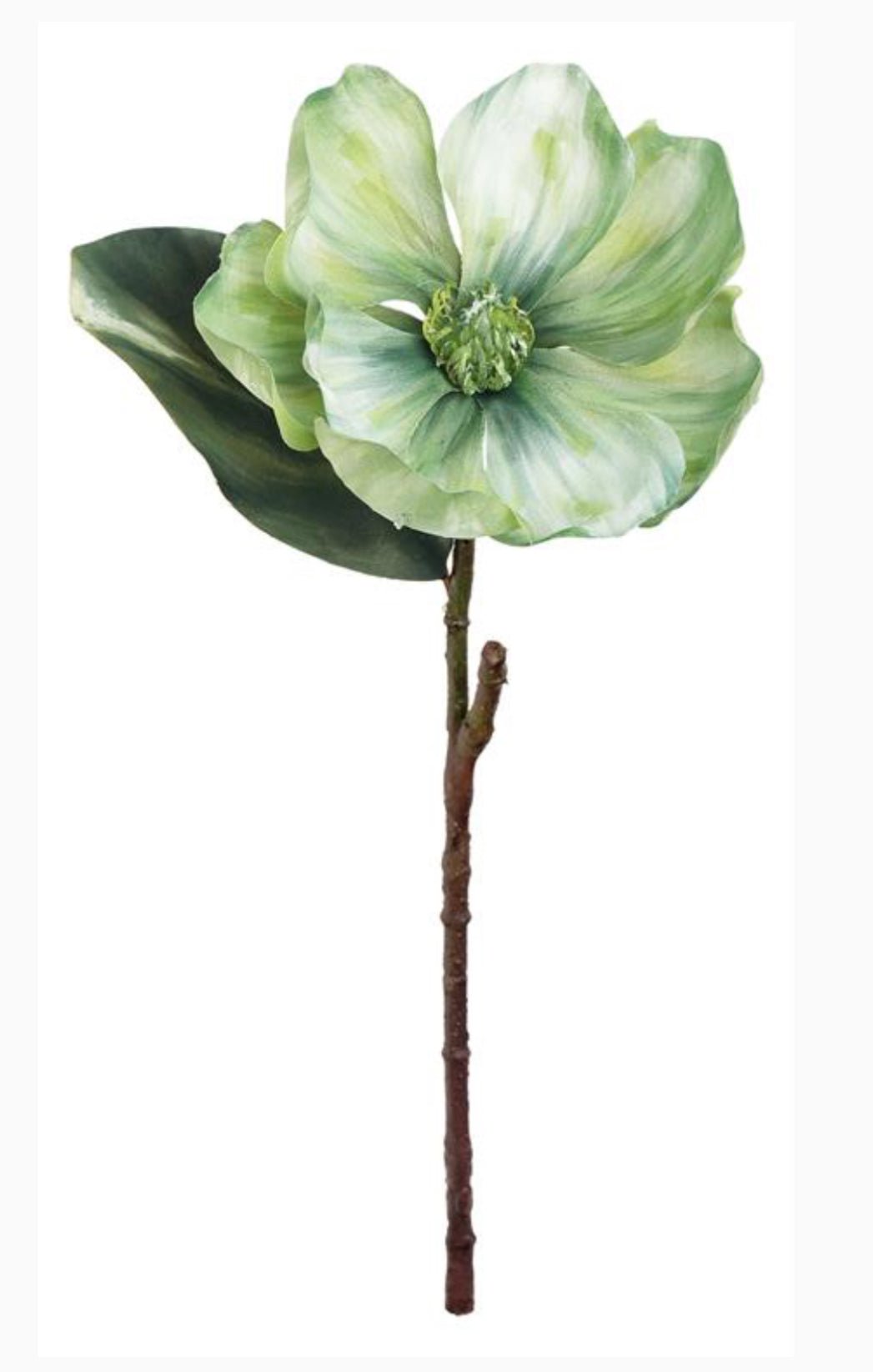 Holiday magnolia stem - green - Greenery Market6360 - G