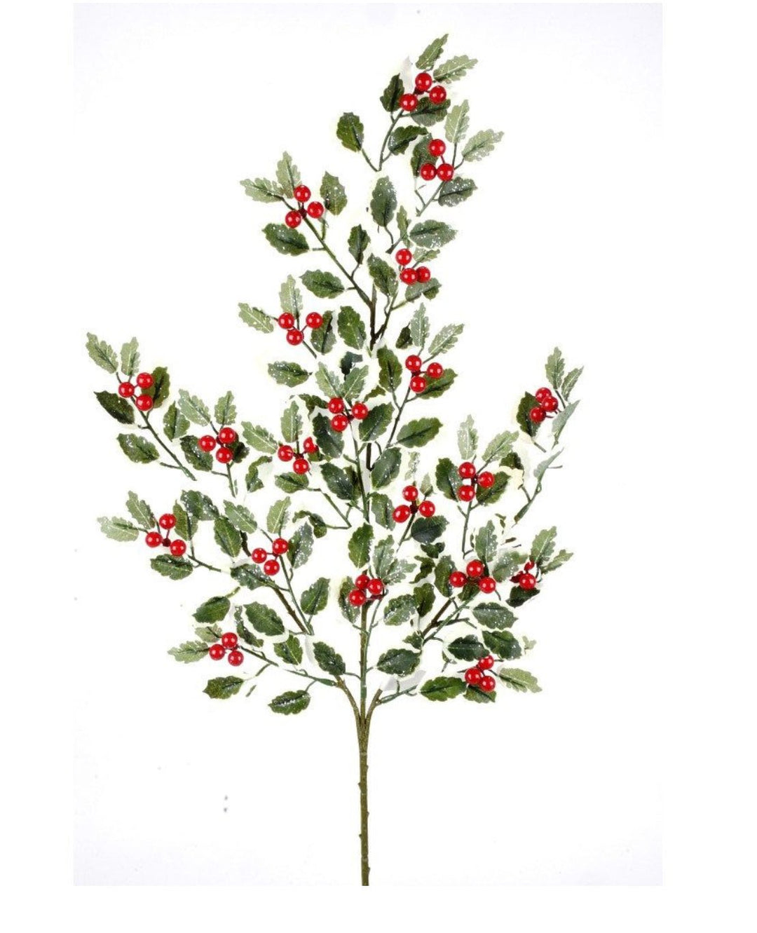 Holly spray - varigated - Greenery MarketArtificial Flora270489