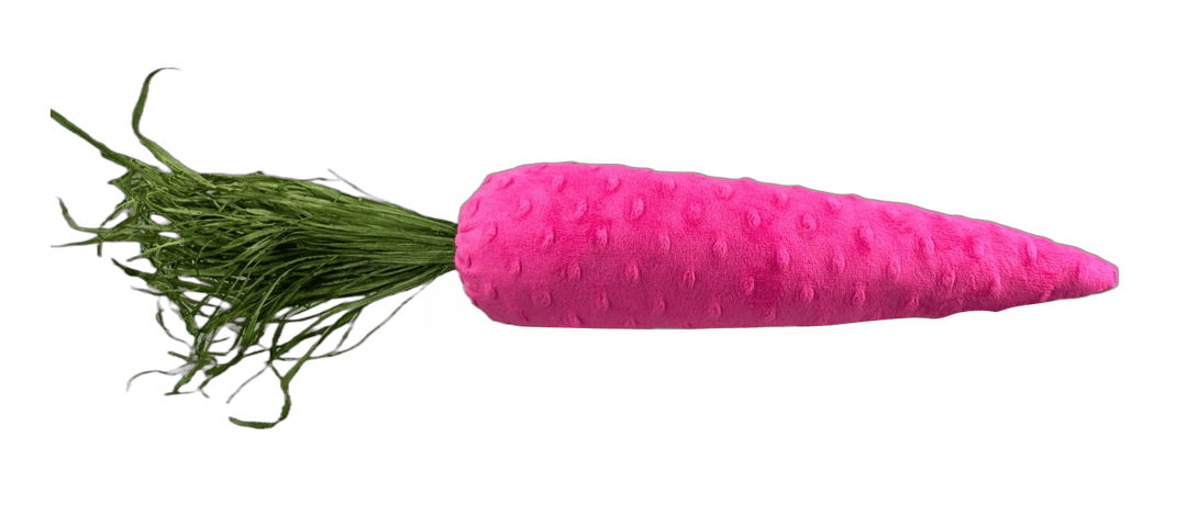 Hot Pink Carrot - 20" - Greenery Market63451BT