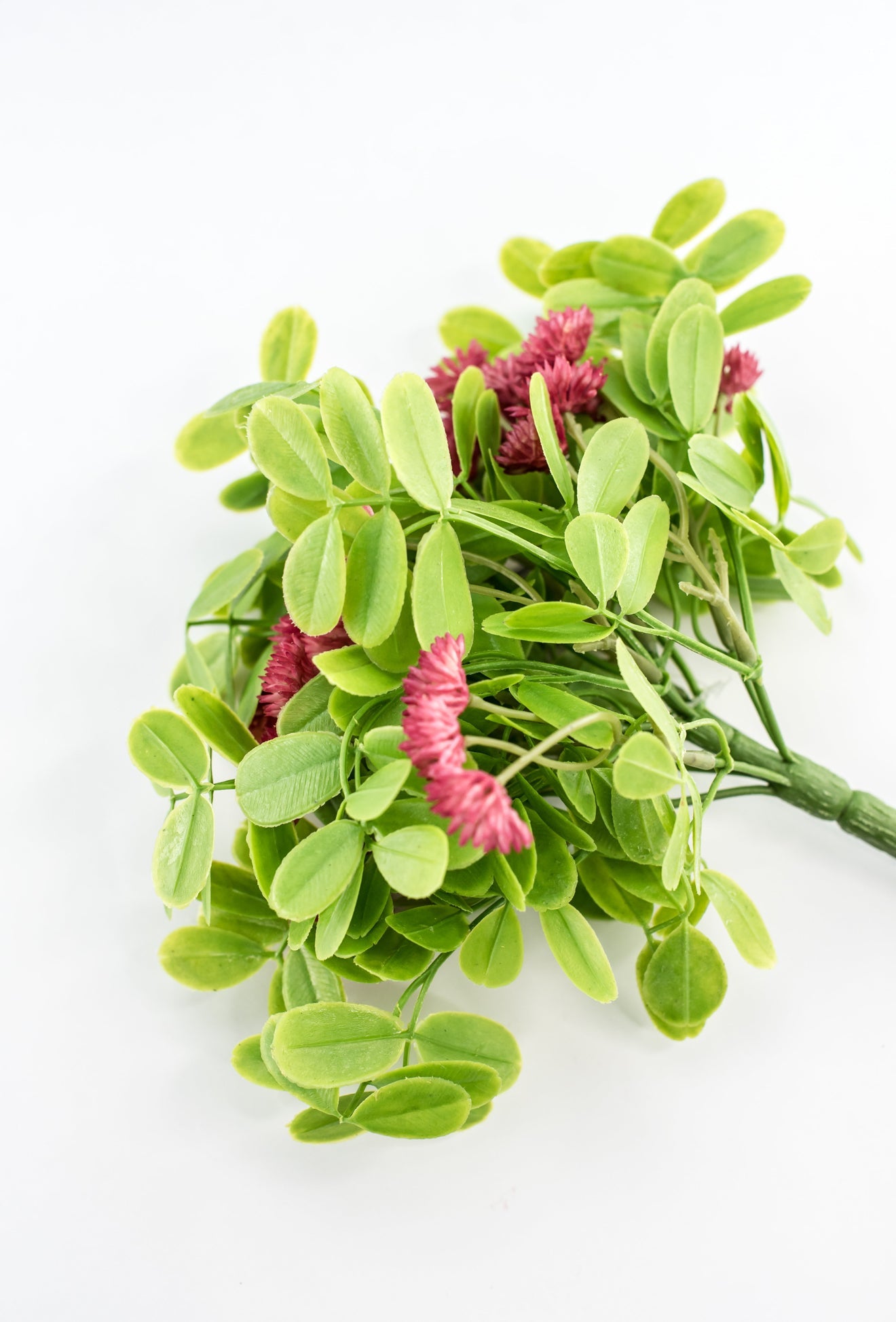 Hot pink clover and greenery bundle - Greenery Market