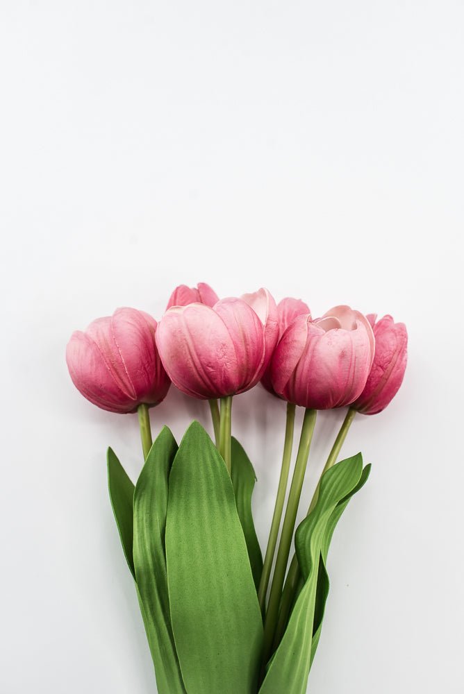 Hot pink life like tulip bundle - Greenery Market3876-HP