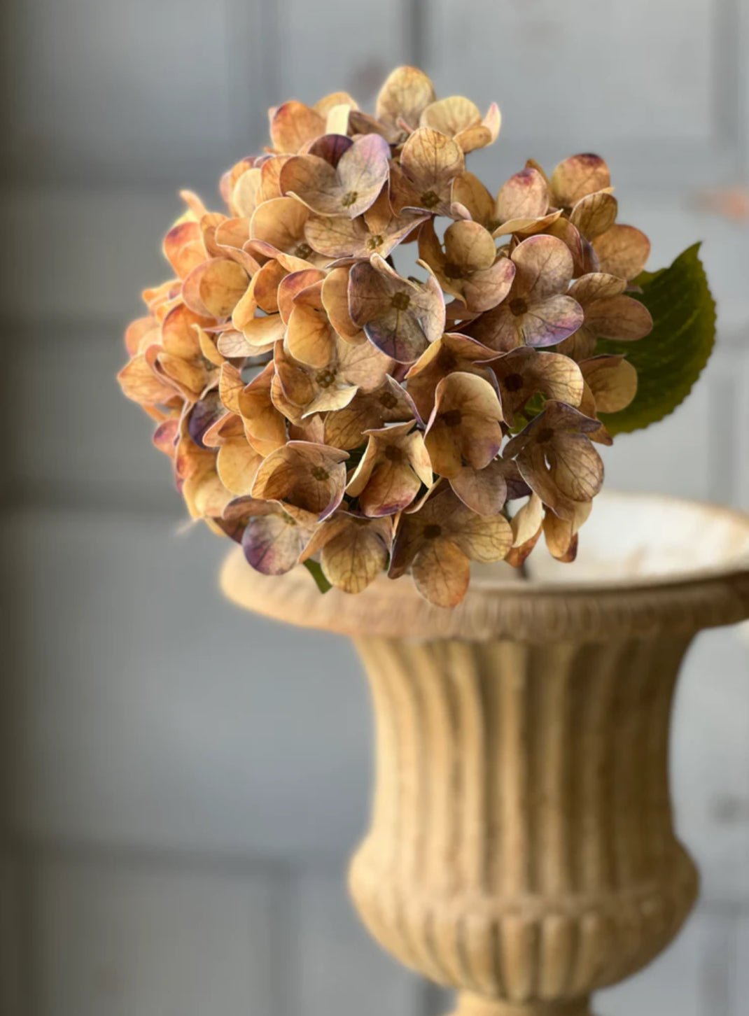 Hydrangea stem - dawn - Greenery MarketArtificial FloraUDL4036