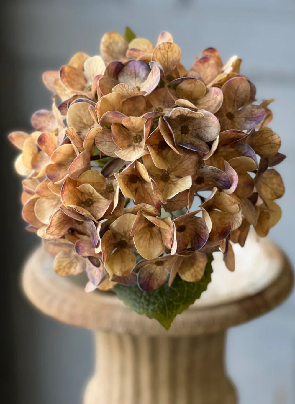 Hydrangea stem - dawn - Greenery MarketArtificial FloraUDL4036