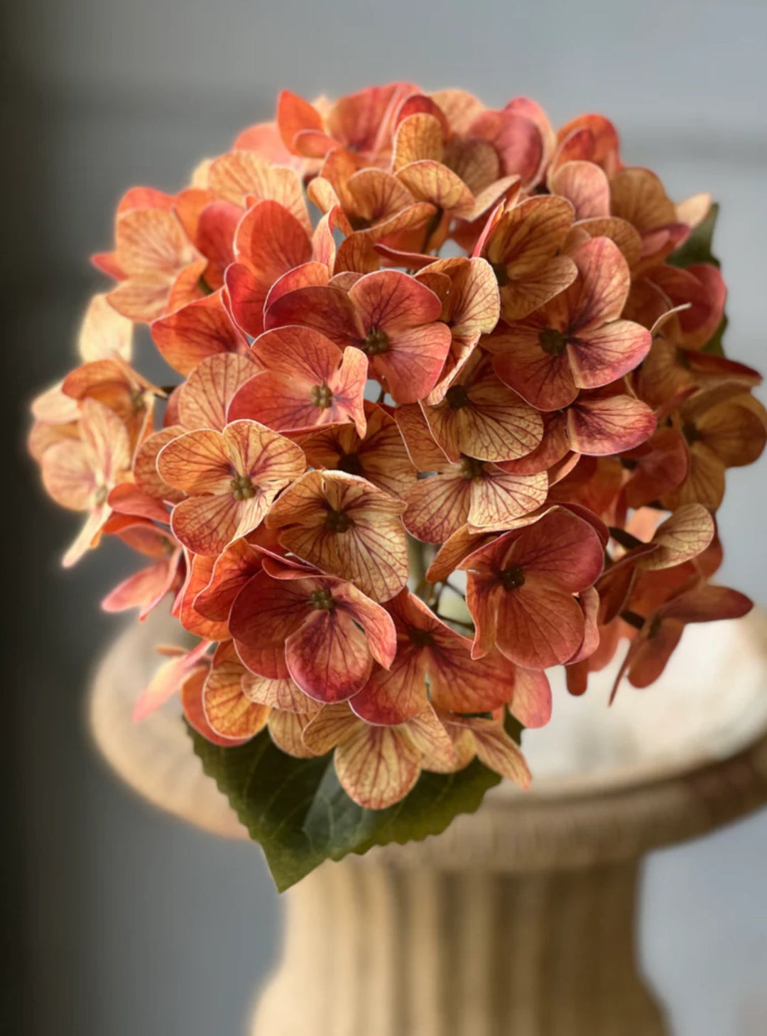 Hydrangea stem - terracotta - Greenery MarketArtificial FloraUDL4035